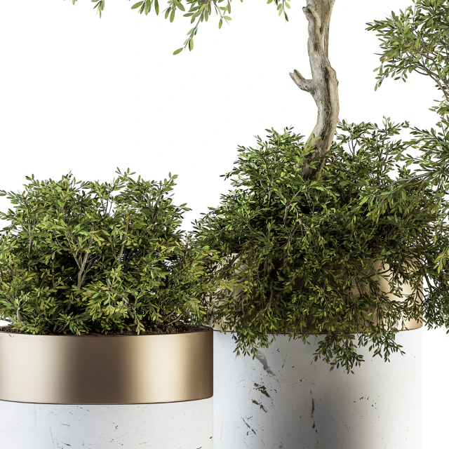 indoor Plant Set 200 - Tree in pot — Скачать