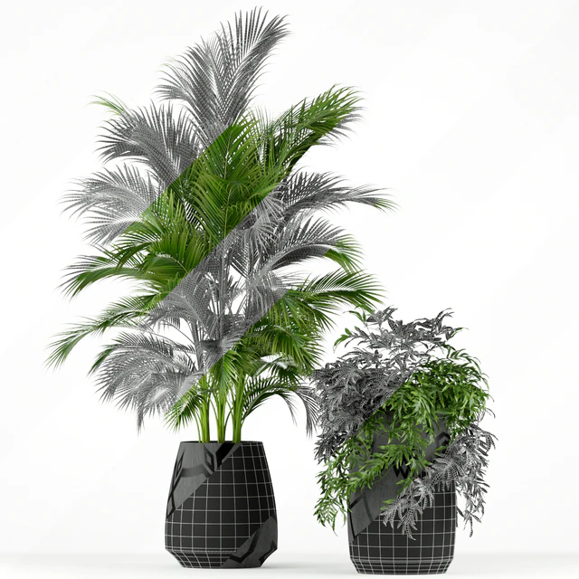 Plants collection 195 — Descargar