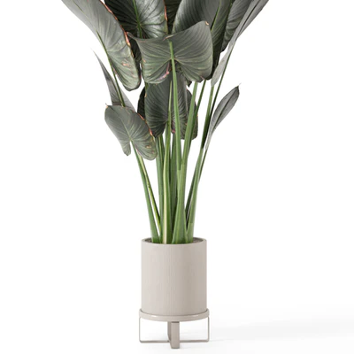 Indoor Plants in Ferm Living Bau Pot Large - Set 555 — Вид 4