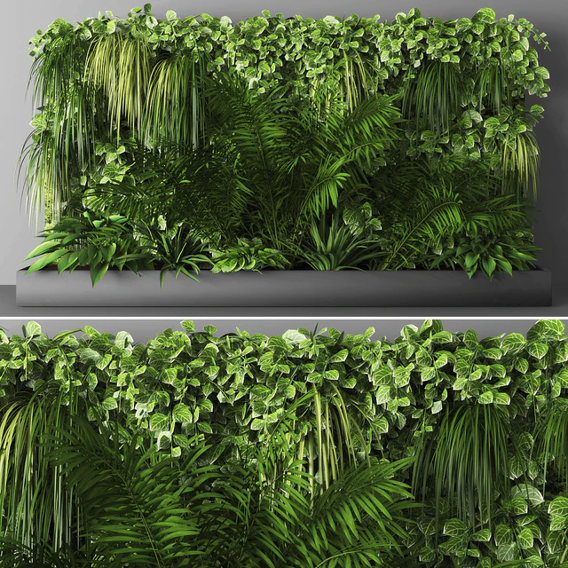 Vertical garden 065 — Descargar