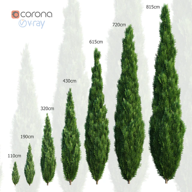 Thuya. Set of 7 models — Descargar