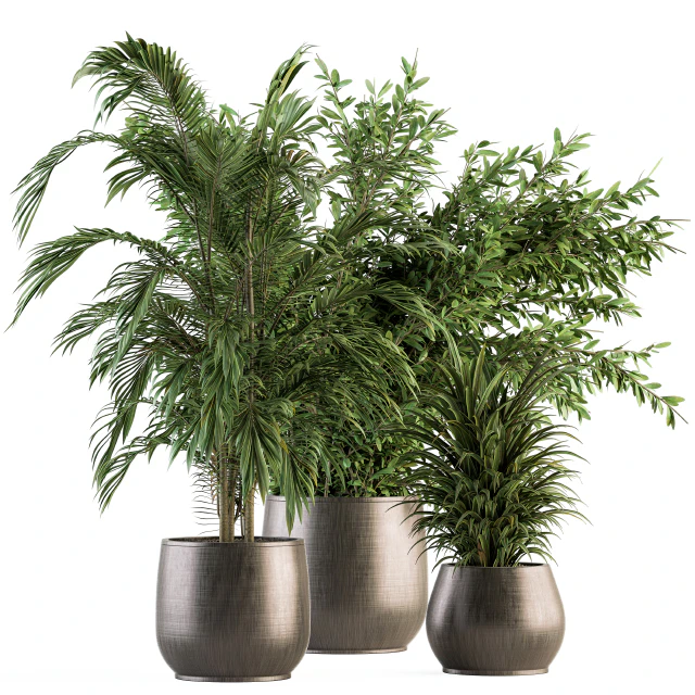 indoor Plant Set 112 - Tropical Plants — Descargar