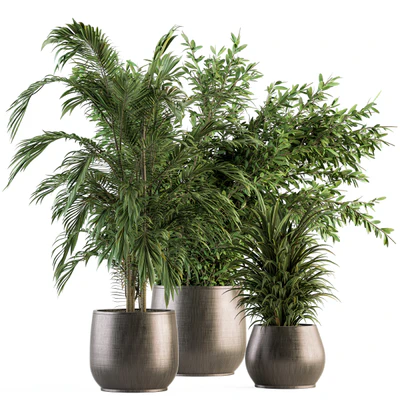indoor Plant Set 112 - Tropical Plants — Ver 1