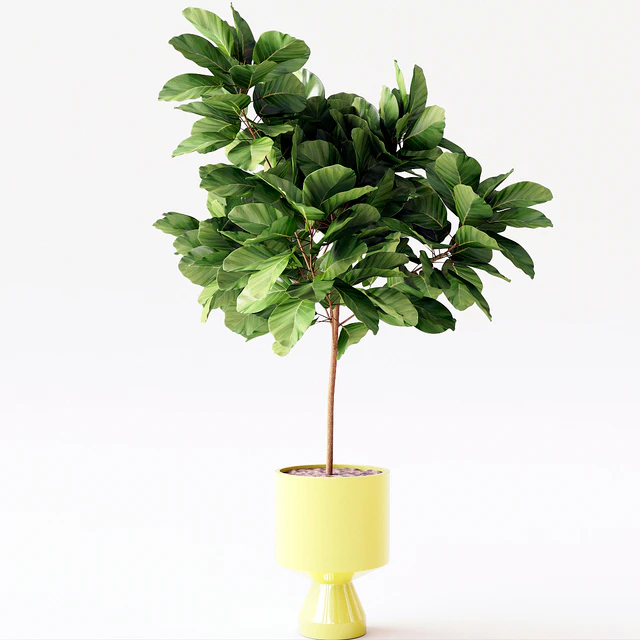 Decorative set, dining group — Descargar