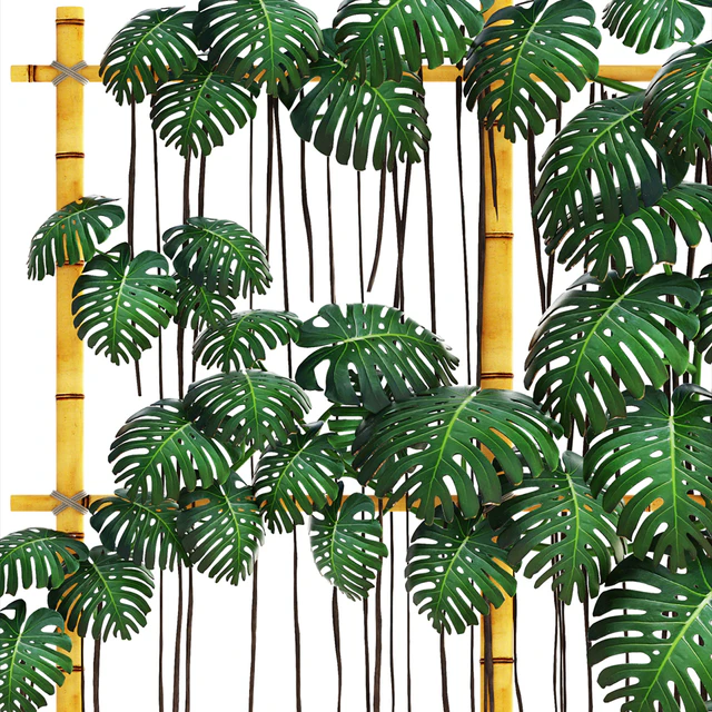 Monstera 7, вертикальный сад, фитостена, эко дизайн, монстера, декоративный куст, горшок, вазон — Скачать