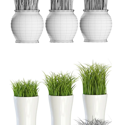 Grass in pots — Ver 2