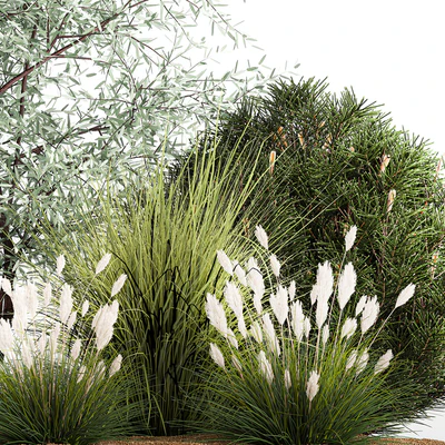 Альпийская горка с кустами олива, сосна, камыш, Ковыль трава, Лох серебристый. Набор растений 1189 — Вид 2