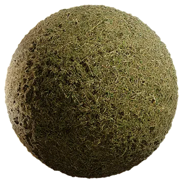 grass dried 067 — Descargar
