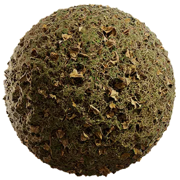 uncut grass 001 — Descargar