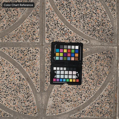 flower pattern honed aggregate concrete sidewalk texture — Вид 3