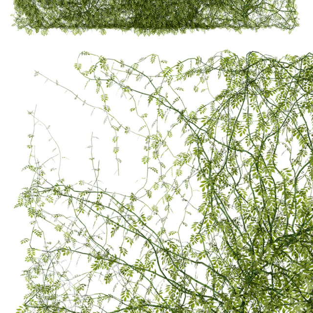 Leaves for walls — Descargar