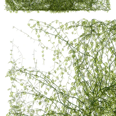 Leaves for walls — Ver 2