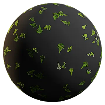 lady fern 002 — Скачать