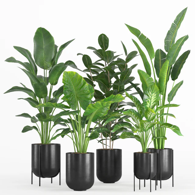 indoor plant set 007 — Скачать