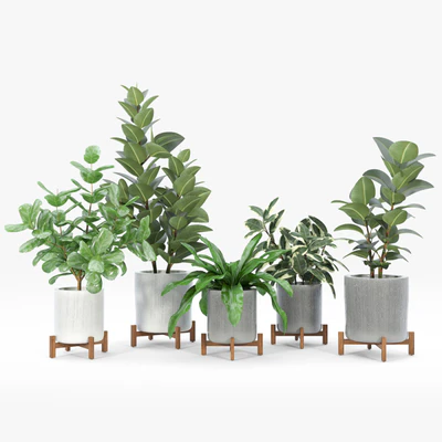 Bungalow Planter Collection — Вид 3