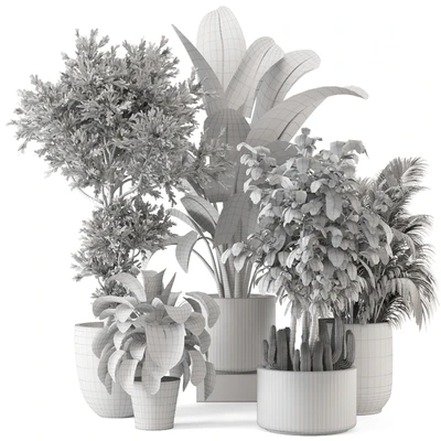 Indoor Plants  in rusty Concrete Pot - Set 584 — Вид 3