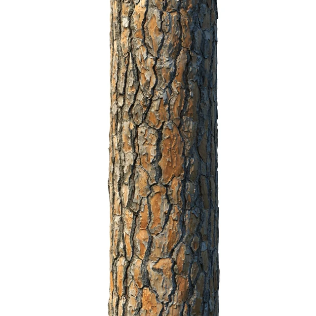 4k Pine Bark Material 03 — Descargar
