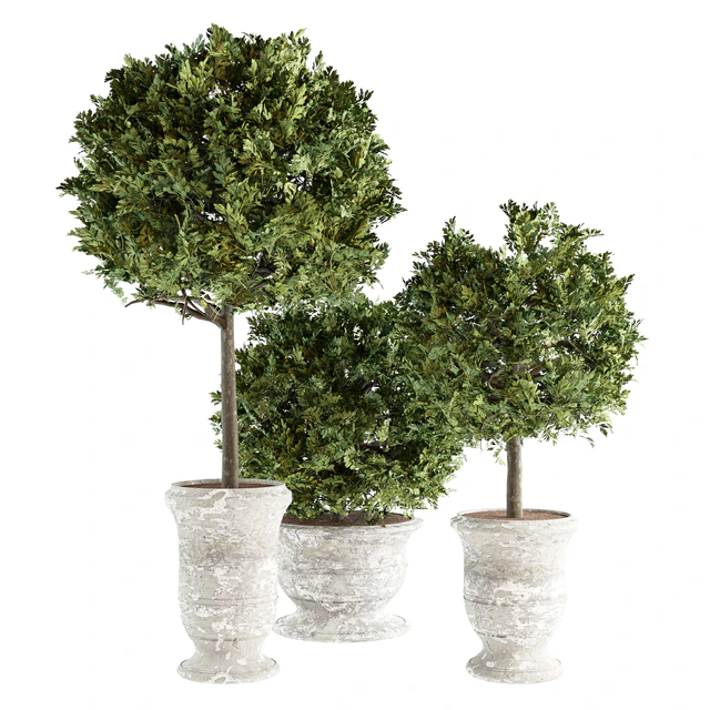 Outdoor Plants 02 - Plants in Concrete Pots — Скачать