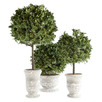 Outdoor Plants 02 - Plants in Concrete Pots — Вид 1
