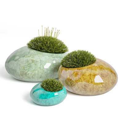 moss rocks — Вид 1