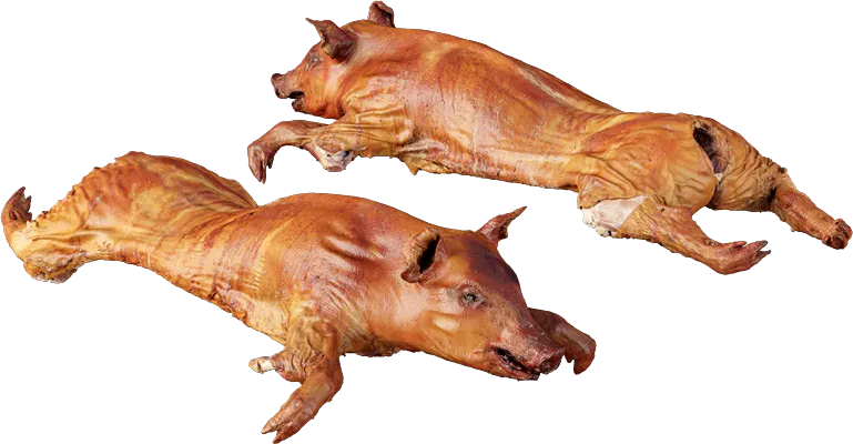 roasted piglet 001 — Скачать