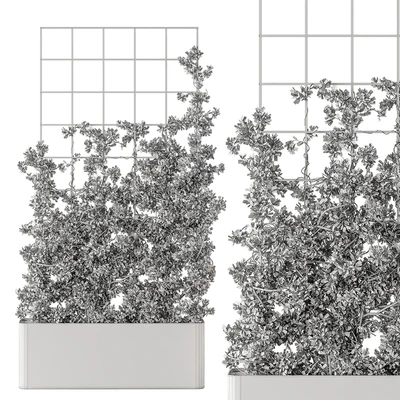 Vertical Garden Partiton - Set 101 — Вид 2