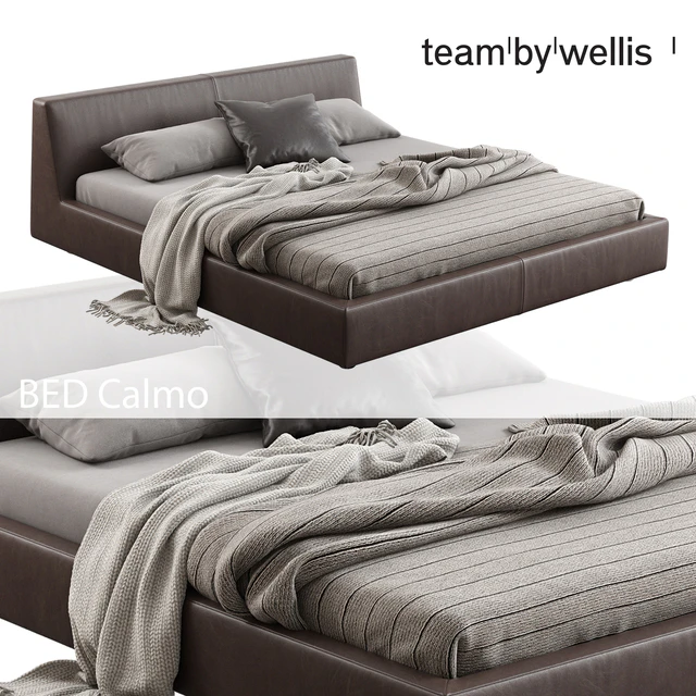 Team by Wellis / Calmo — Descargar