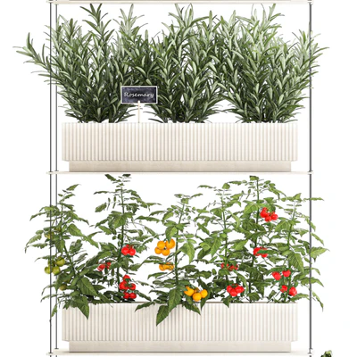 Plant collection 1411 — View 2