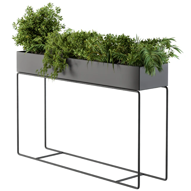 Black Box Plants on stand02 — Descargar