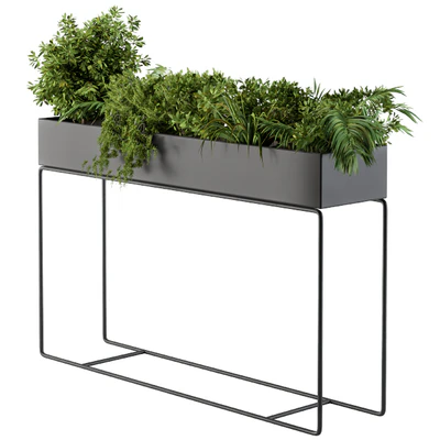 Black Box Plants on stand02 — Ver 2