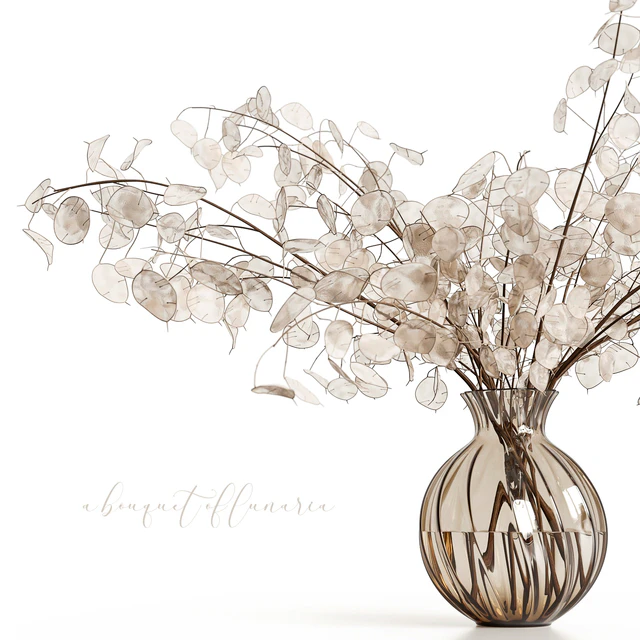 A bouquet of lunaria — Скачать