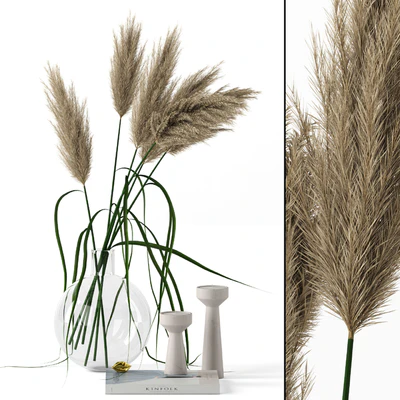 Grass in round vase — Вид 1