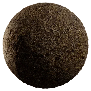 dried grass 011 — Descargar