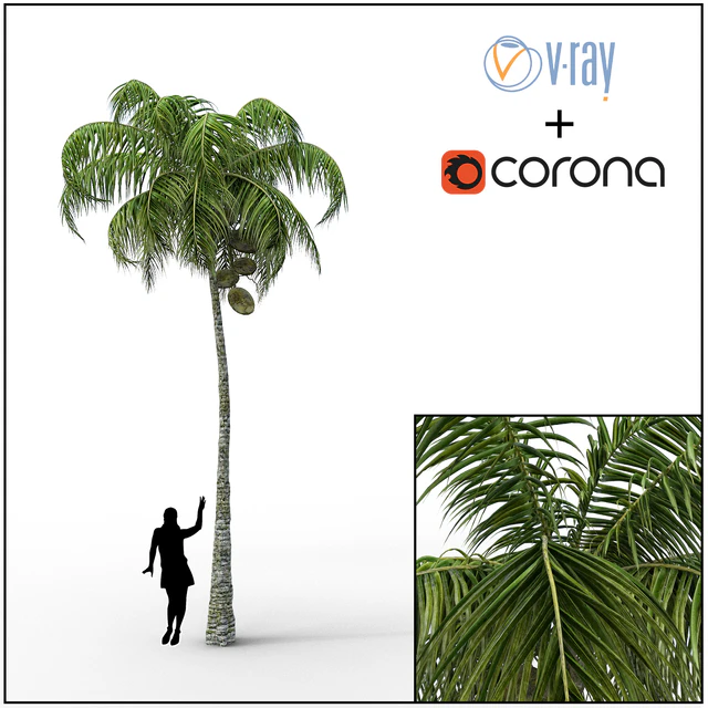 Palm — Descargar