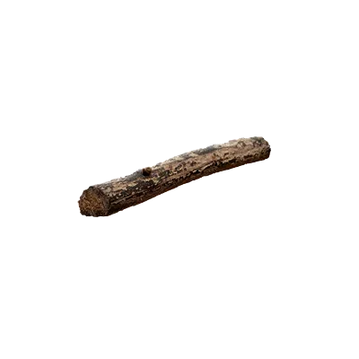 tree debris 016 — Descargar
