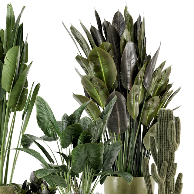 Indoor Plants in Standing Legs Small Bowl Concrete Pot - Set 563 — Descargar