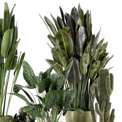 Indoor Plants in Standing Legs Small Bowl Concrete Pot - Set 563 — Ver 2