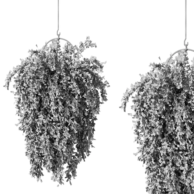 Hanging Plant Set.168 — Download