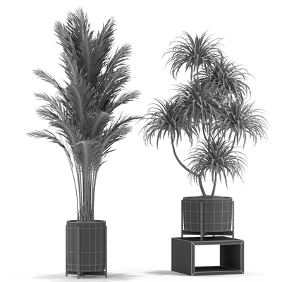 Plants collection 343 — Ver 4