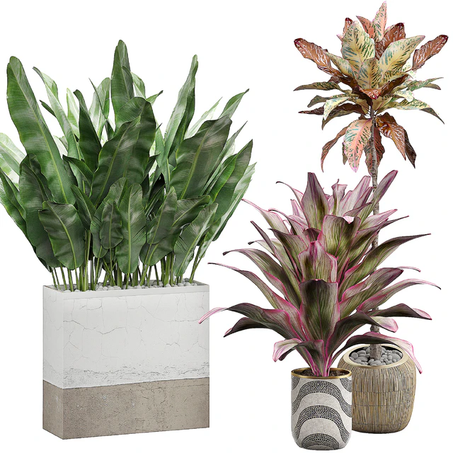 INTERIOR FLOWER PACK 29 — Descargar