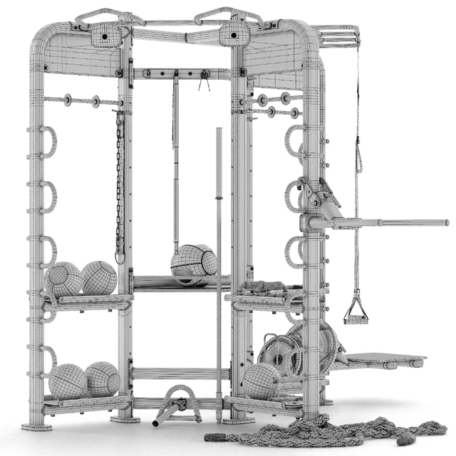 Sport trainer Life Fitness Synrgy 360 — Descargar
