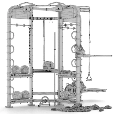 Sport trainer Life Fitness Synrgy 360 — Ver 5