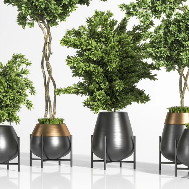indoor plant set 01 — Скачать
