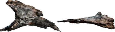 tree bark 019 — Скачать