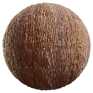 pine bark 011 — Descargar