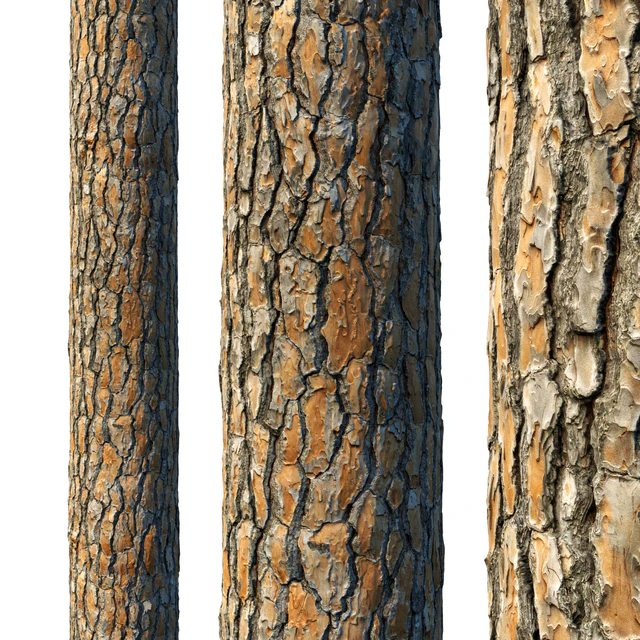 4k Pine Bark Material 03 — Descargar