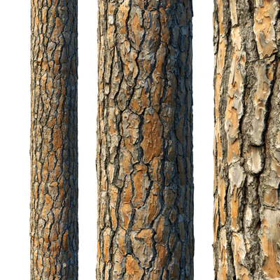 4k Pine Bark Material 03 — Ver 1