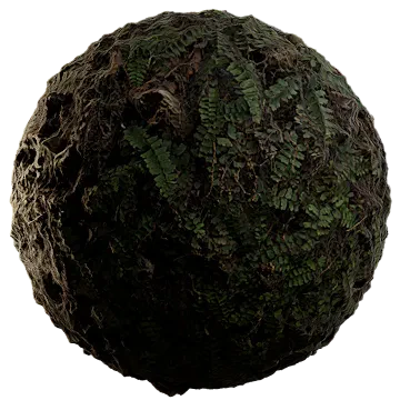 wild grass and fern 001 — Скачать