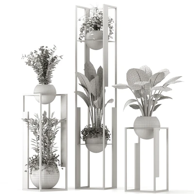Collection Indoor Plants Nim12 — Вид 3