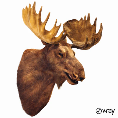 Elk head — Ver 1